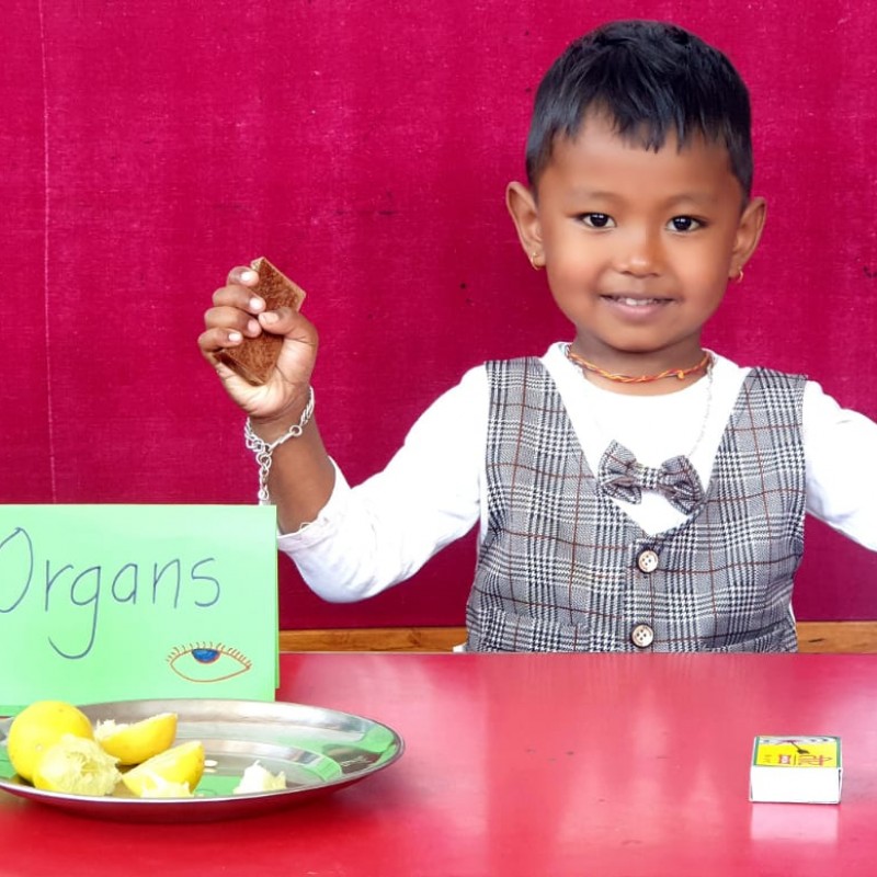 Sense Organs